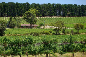 Picturesque Vineyard Farmhouse Nestled on 40-Acres